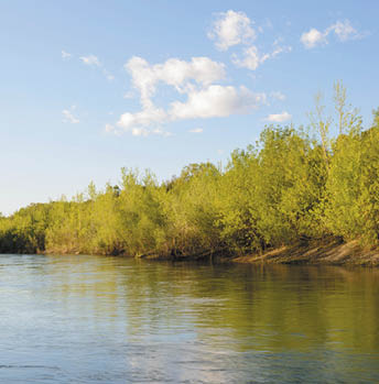 Foppiano Ranch is a private property inside a bend of the Russian River in Sonoma County near Healdsburg, California 