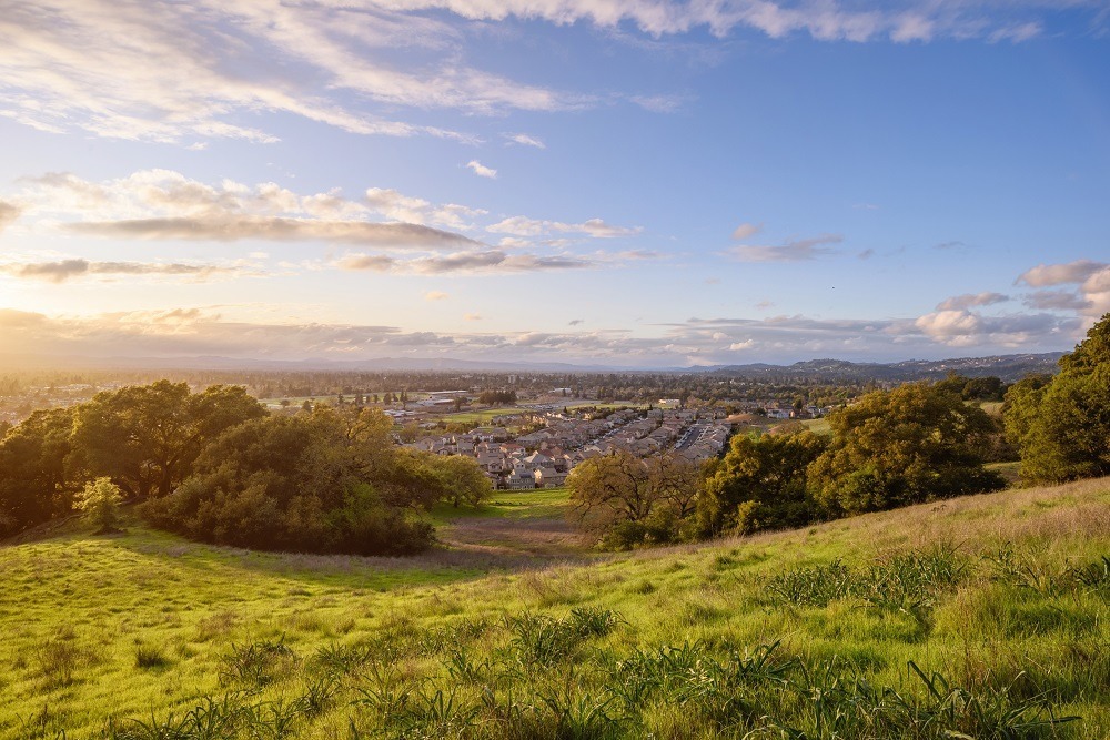 View from hill overlooking Santa Rosa