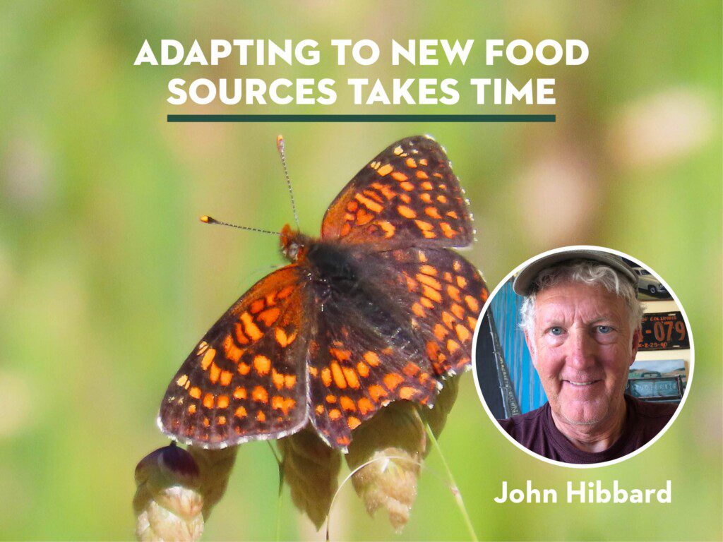 adapting to new food sources takes time