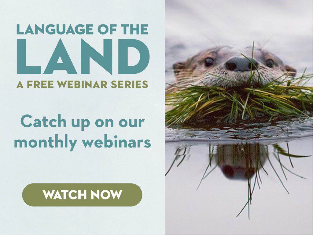 language of the land a free webinar series catch up on our monthly webinars