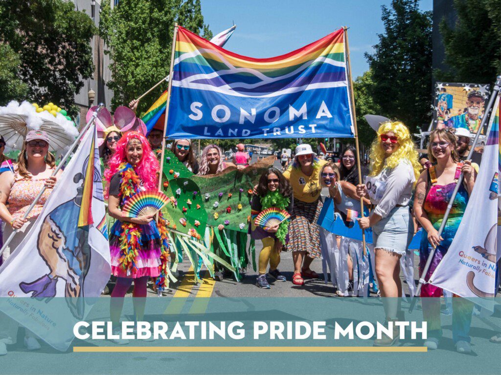 celebrating pride month