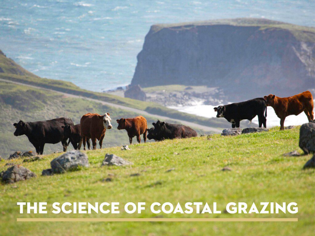 the science of coastal grazing