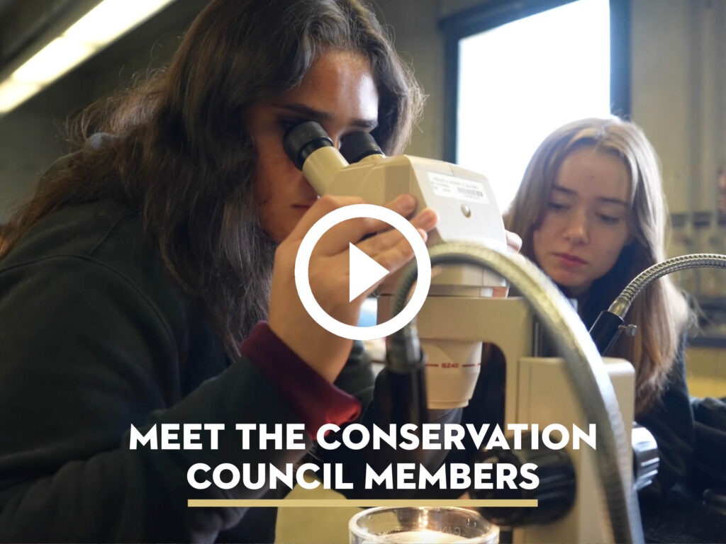 Conservation Council member on a microscope