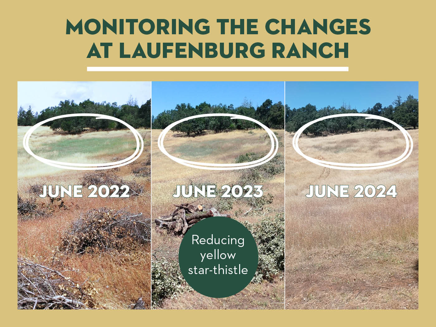 Monitoring the changes at Laufenburg Ranch