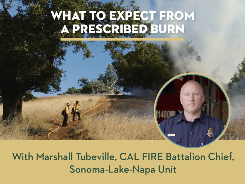 what to expect from a prescribed burn video