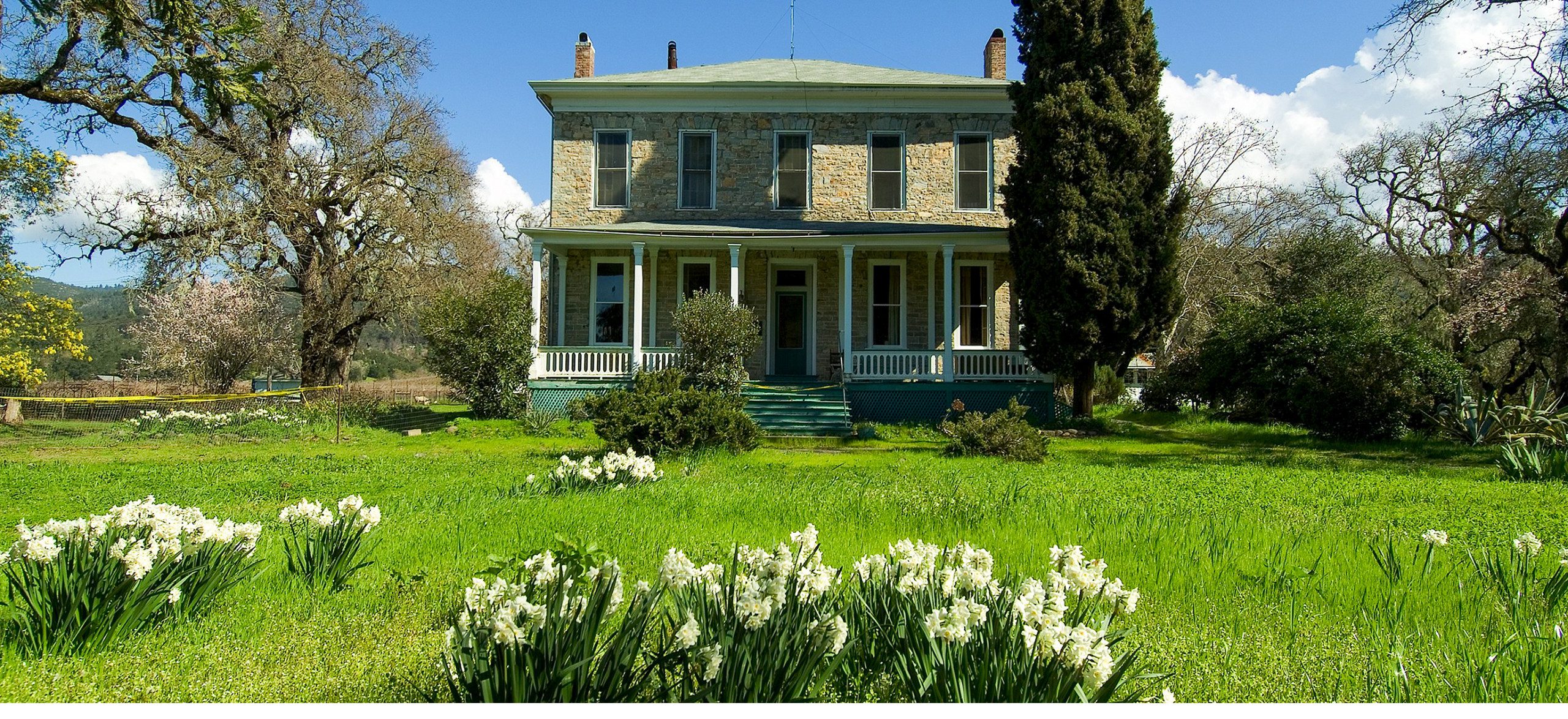 Tan brick home with wildflower in the foreground