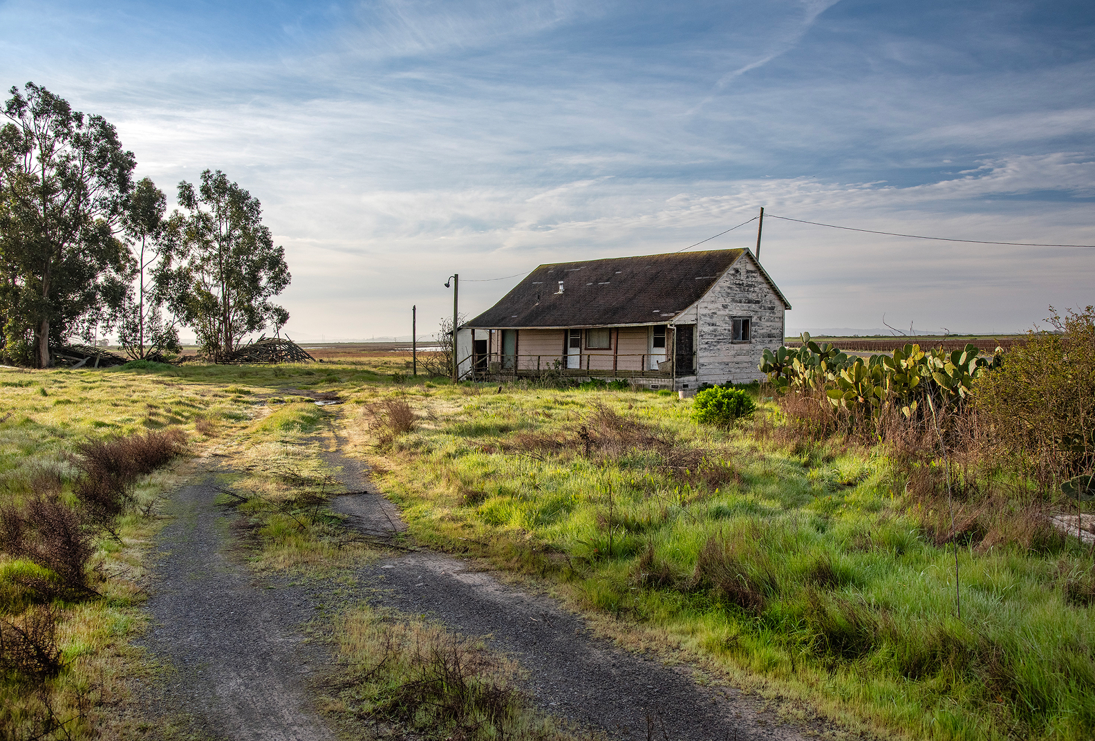 Gravel road leading to building at Camp Five.