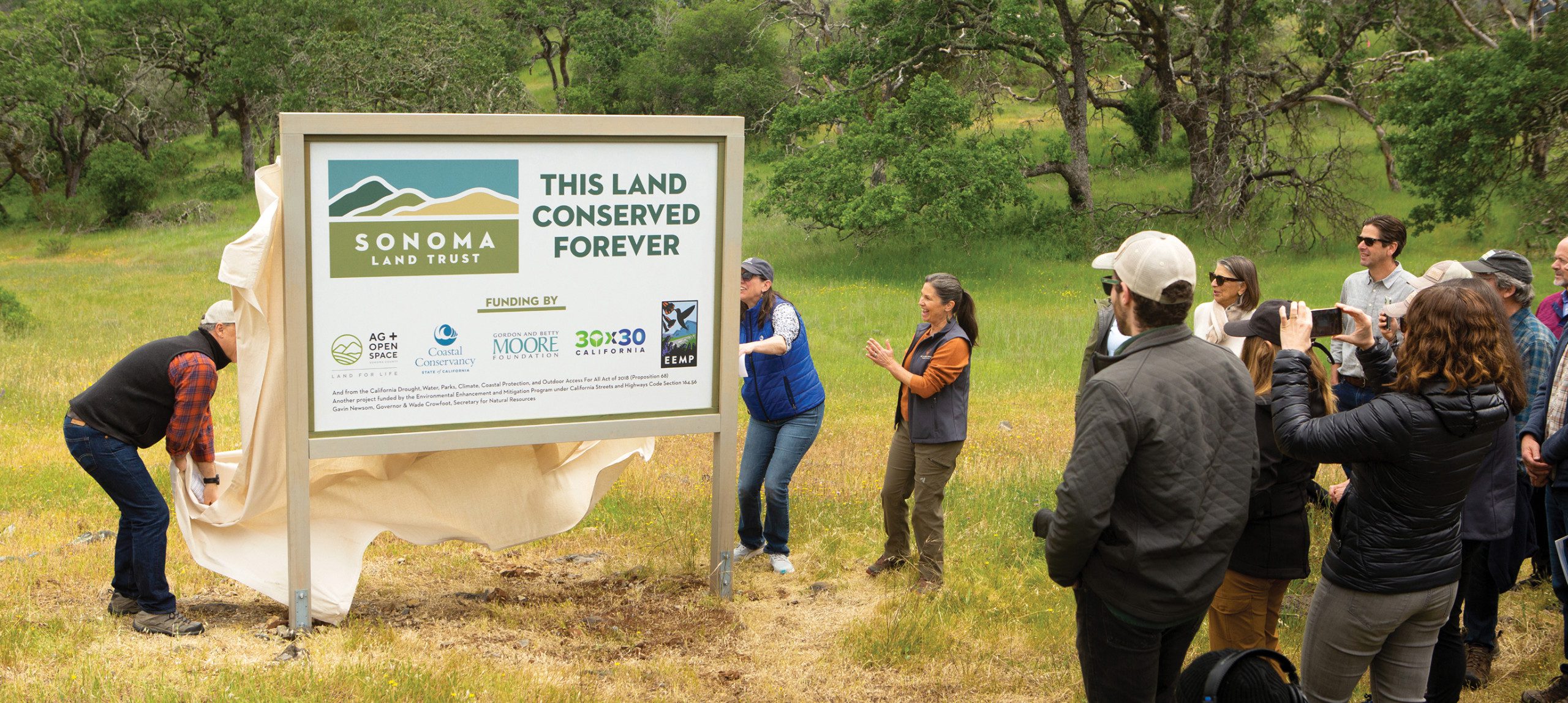 A Sonoma Land Trust sign being unveiled at Sonoma Mountain Vernal Pools as a group of people watch and take photographs.