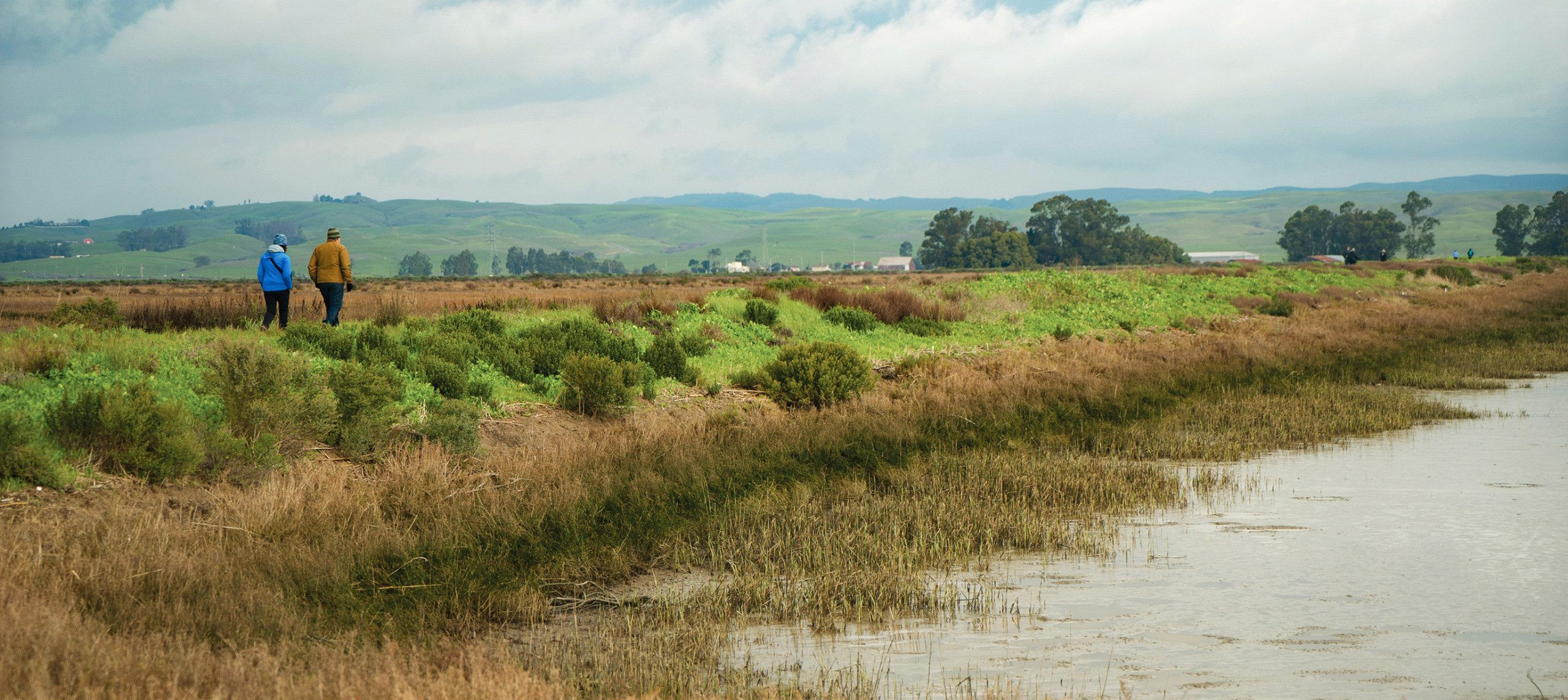 Two hikers walking alongside marshland in Sonoma County.