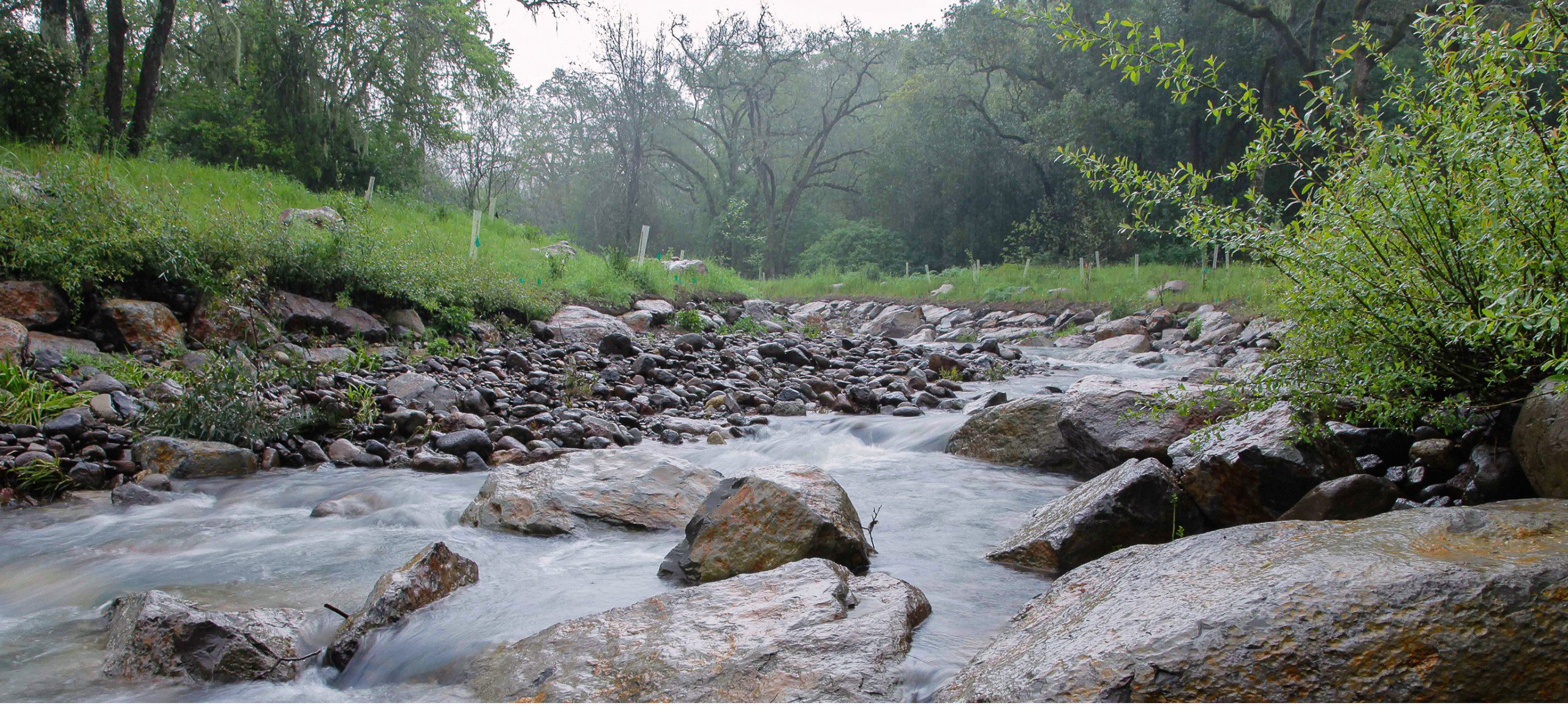 A river flowing over large and small rocks.