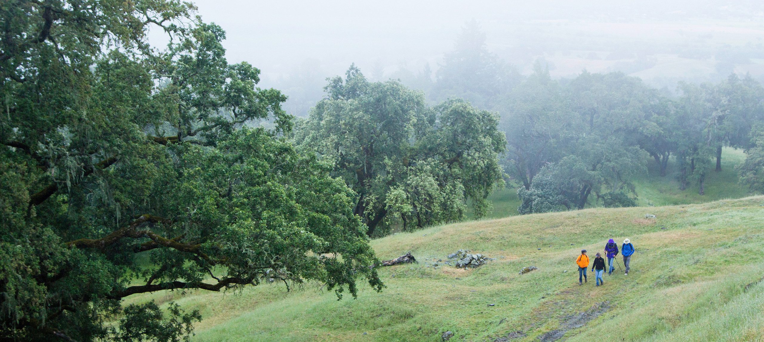 Hikers on an excursion on a foggy day