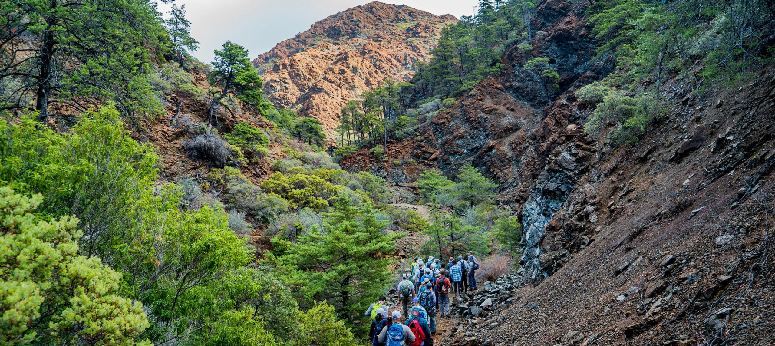 Group of hikers ascend a rocky trail