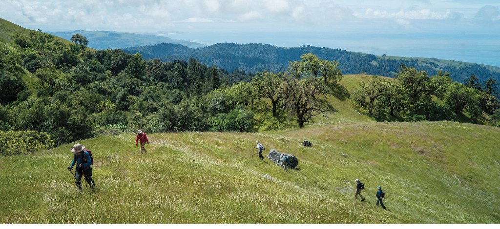 A group of hikers in a meadow.