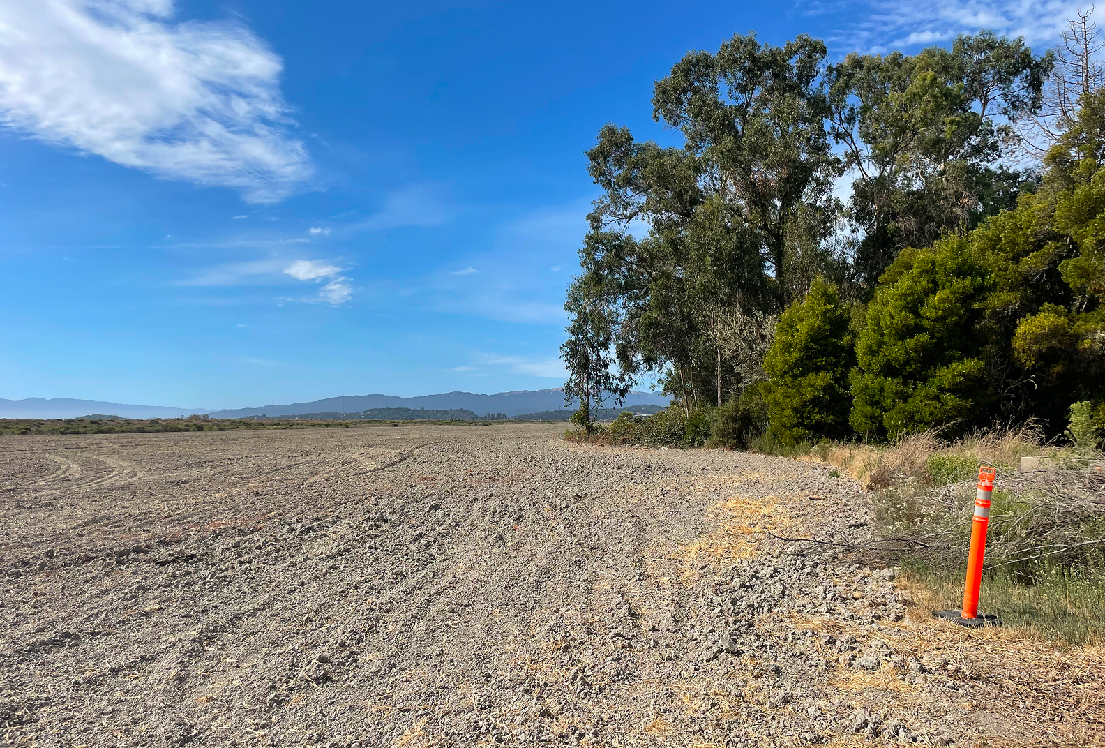 Plowed field with an oak tree in the background