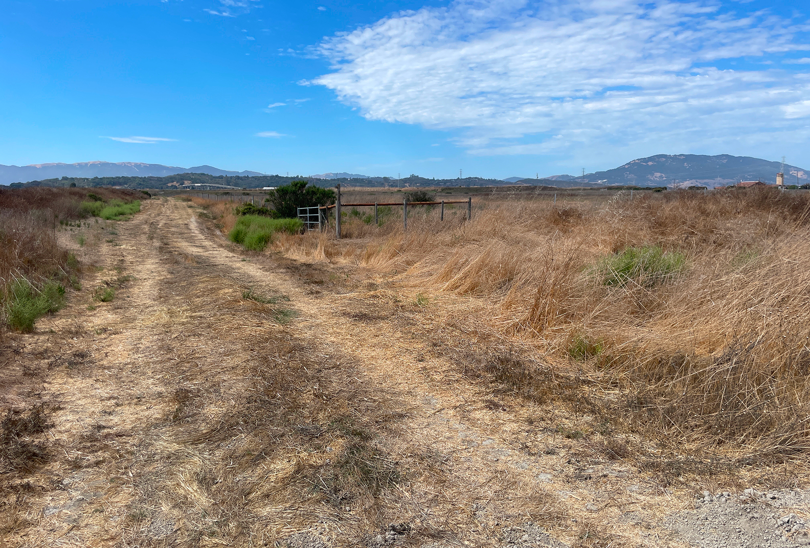 Unpaved road in a field