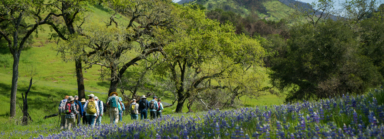 Grupo de excursionistas en el rancho Live Oaks, con flores silvestres en primer plano