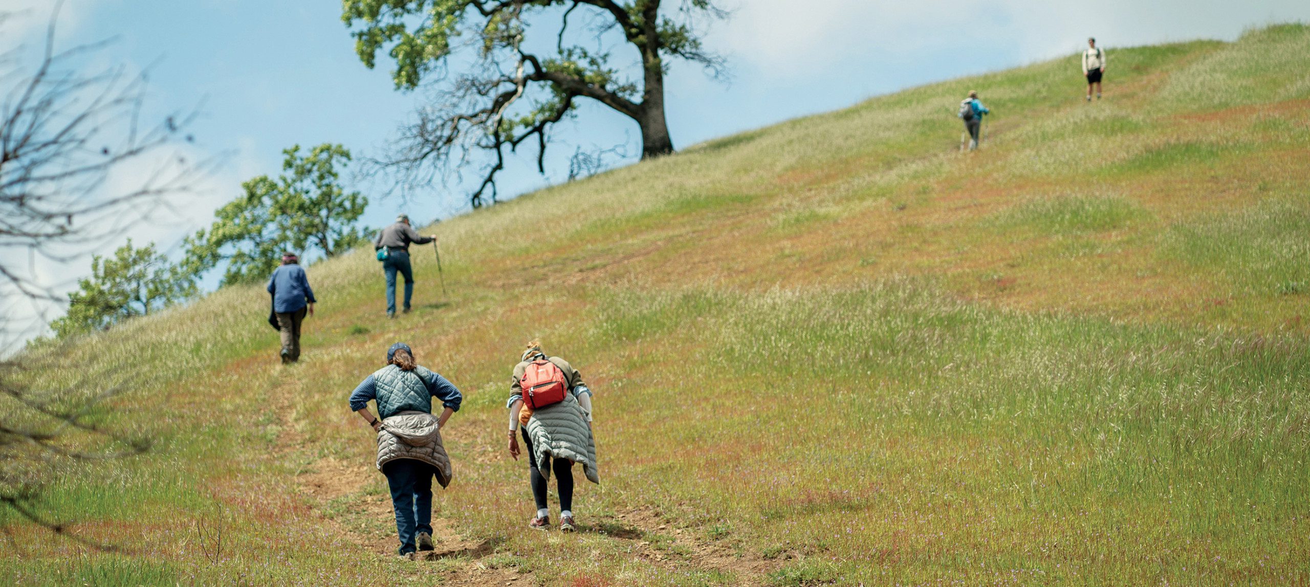 Group of hikers ascending a grassy hill