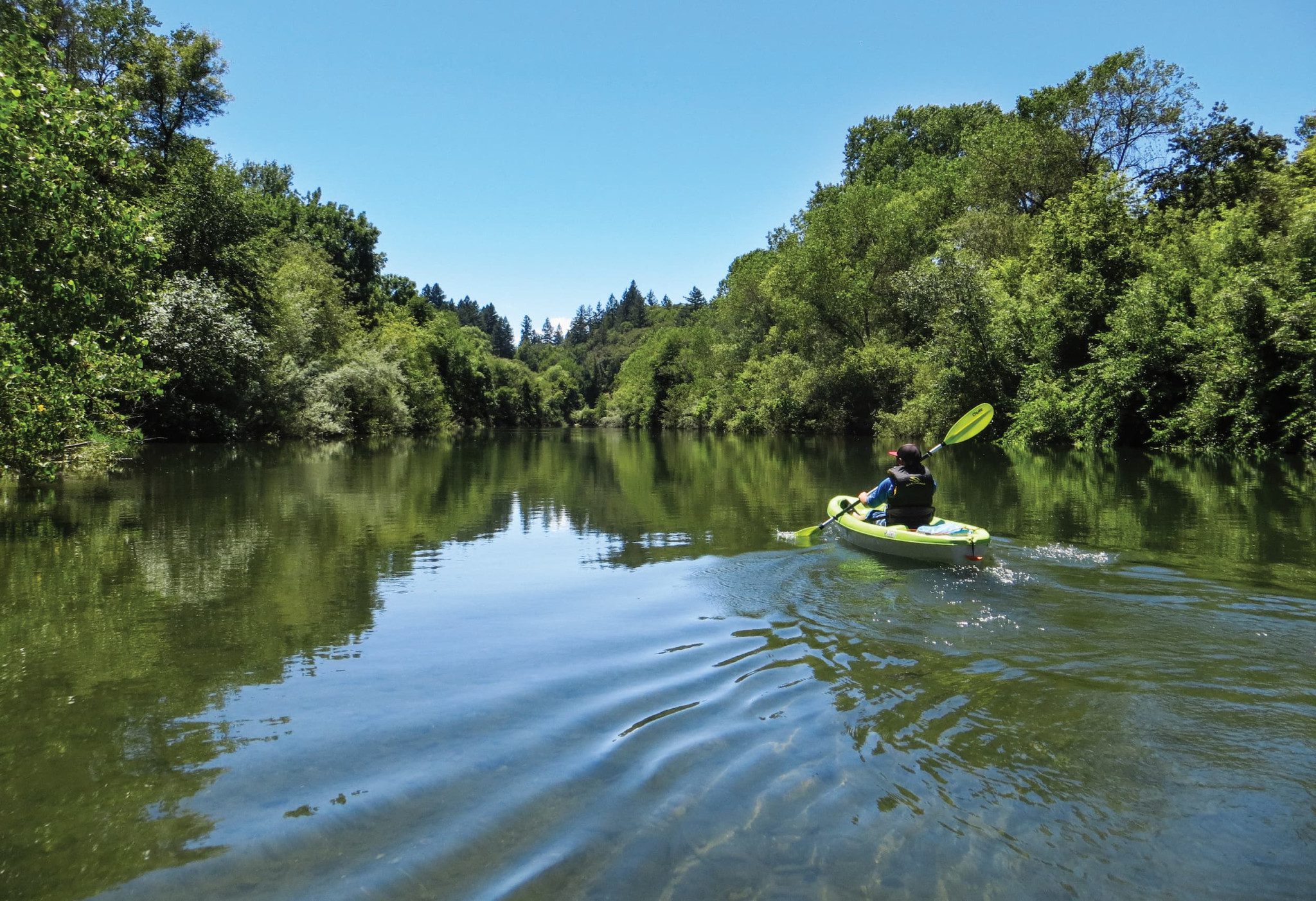 over the (digital) river and into the (literal) woods — Sonoma Land Trust