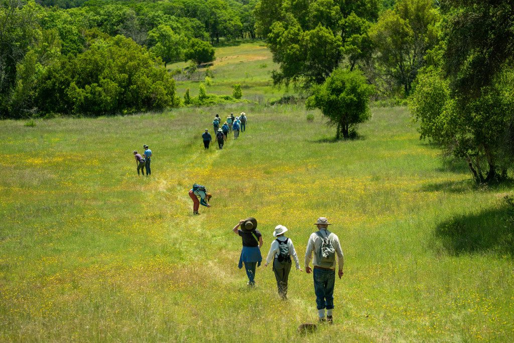 hikers at vernal pools