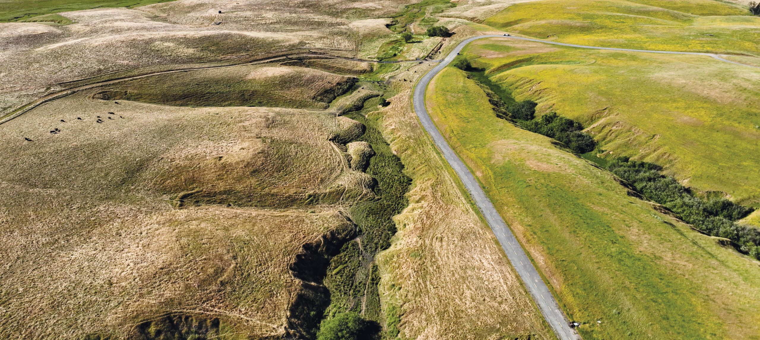 Aerial view of Lakeville Creek