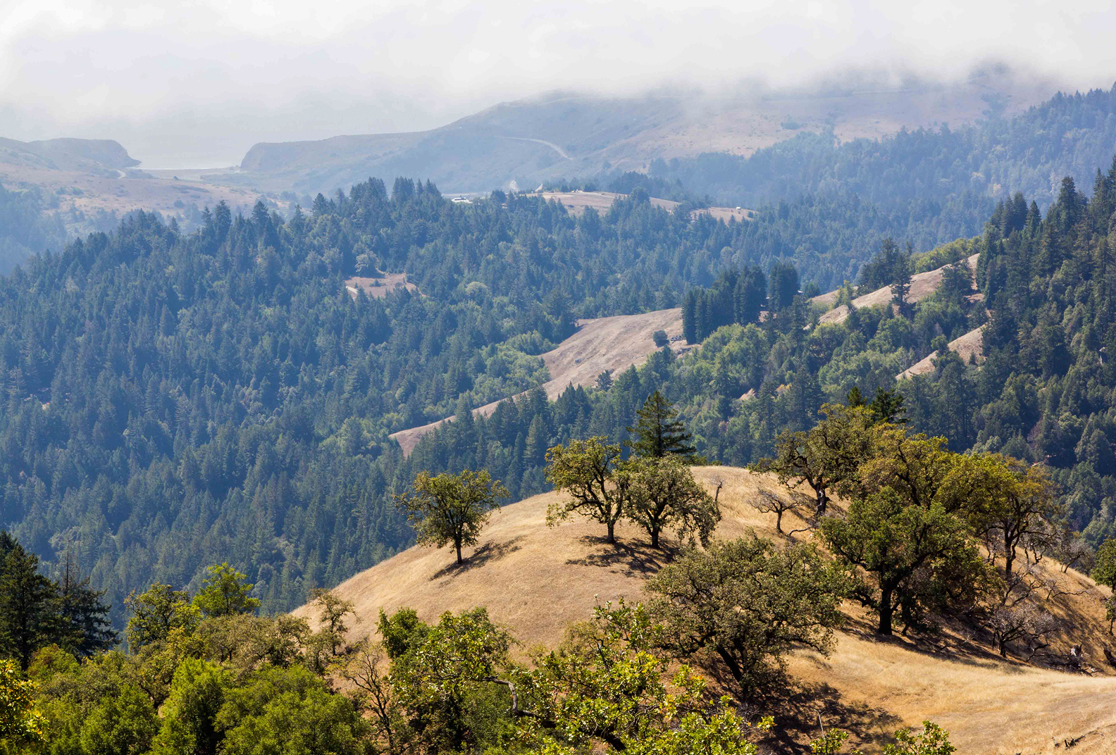 Aerial view of trees, hills, and clouds during summer time at Pole Mountain.