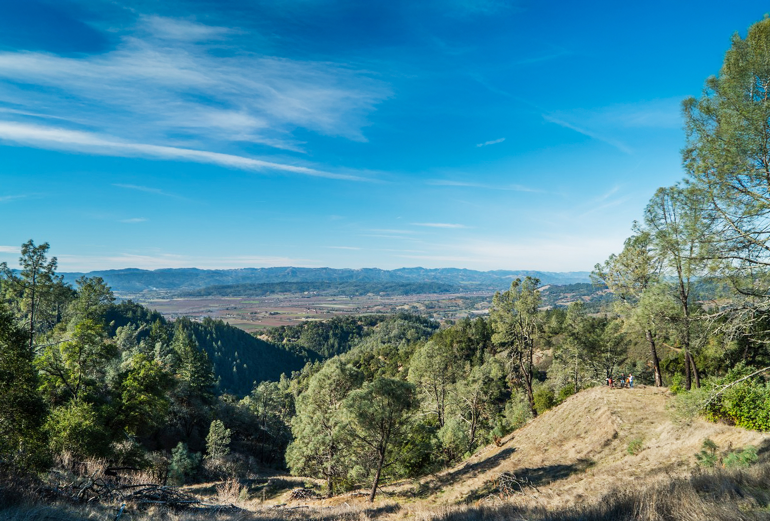 Aerial view of Bear Canyon Wildlands with clear blue sky above.