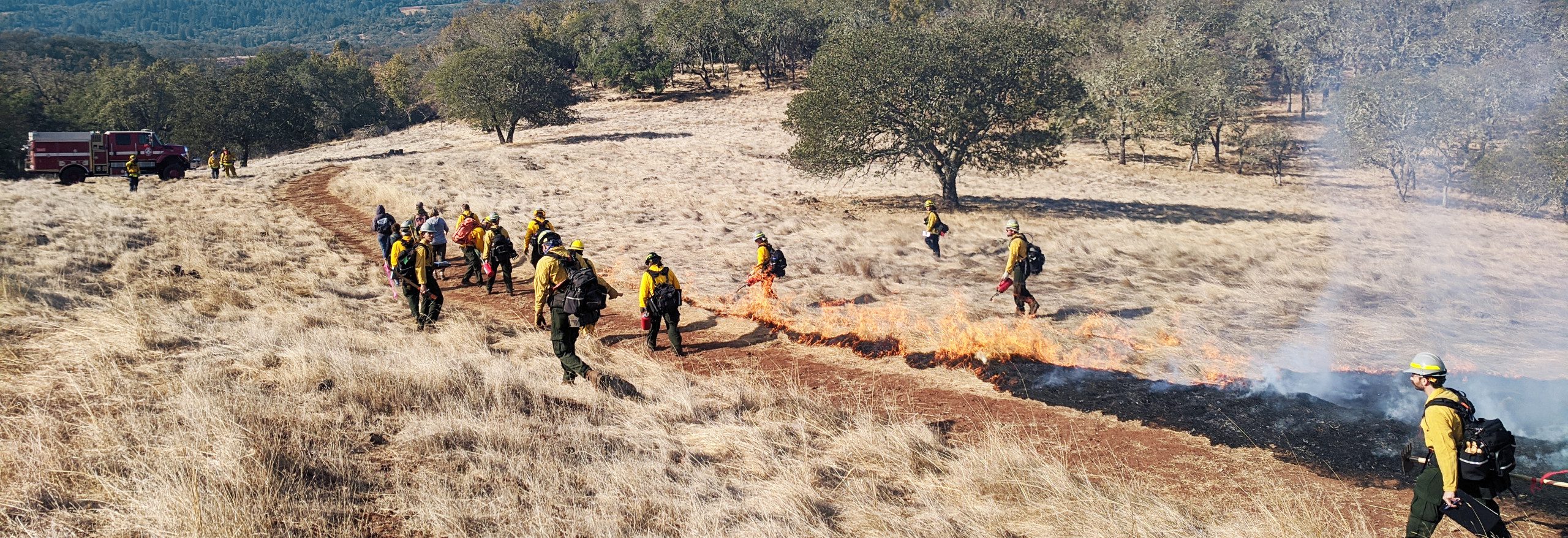 Firefighters execute a prescribed burn in open grassland