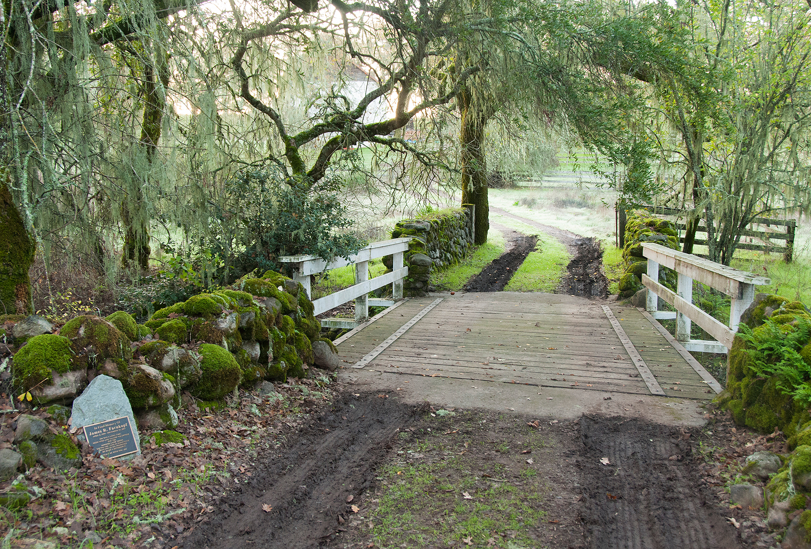 Wooden bridge at Glen Oaks Ranch