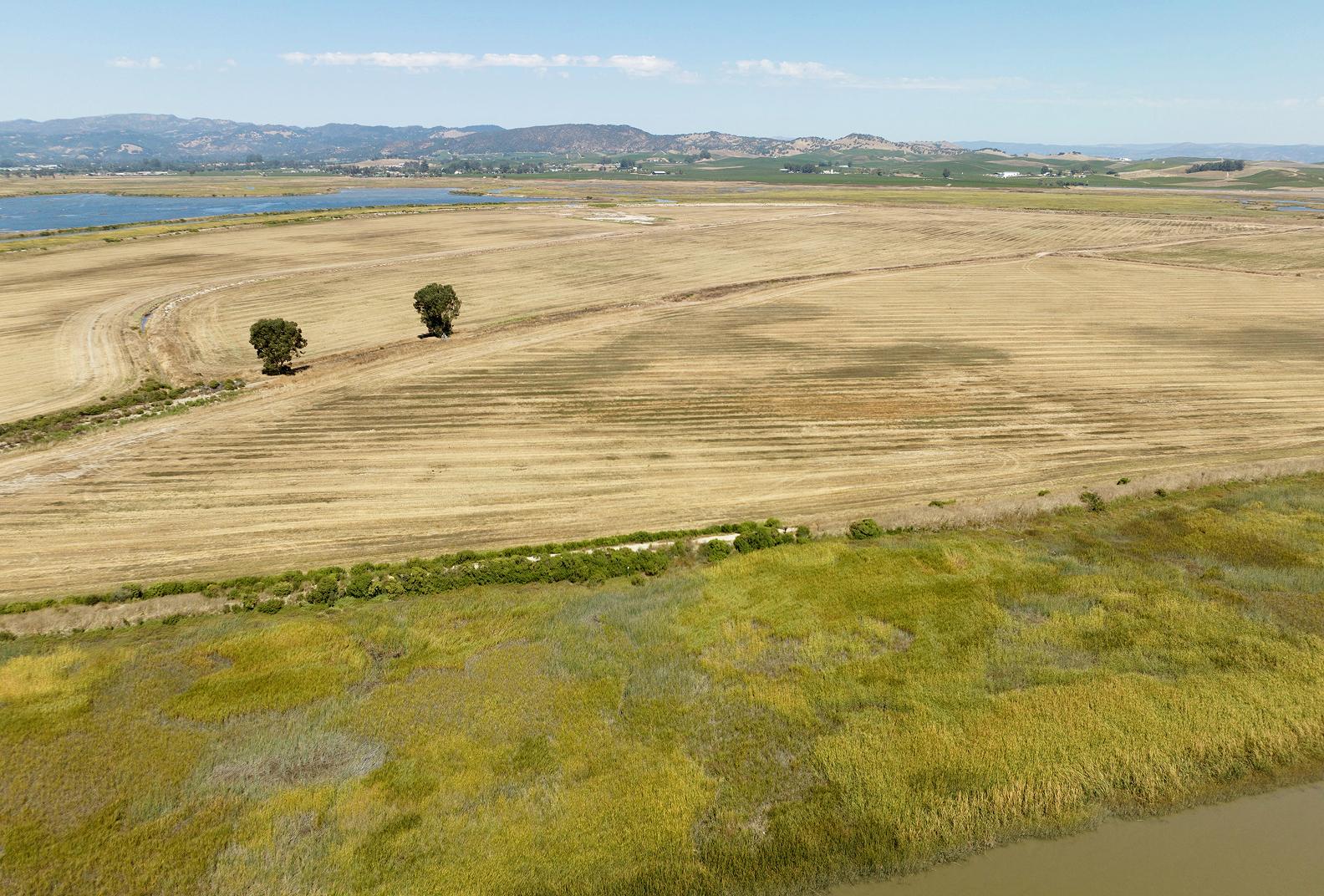 Flatlands with two trees at Camp 4.