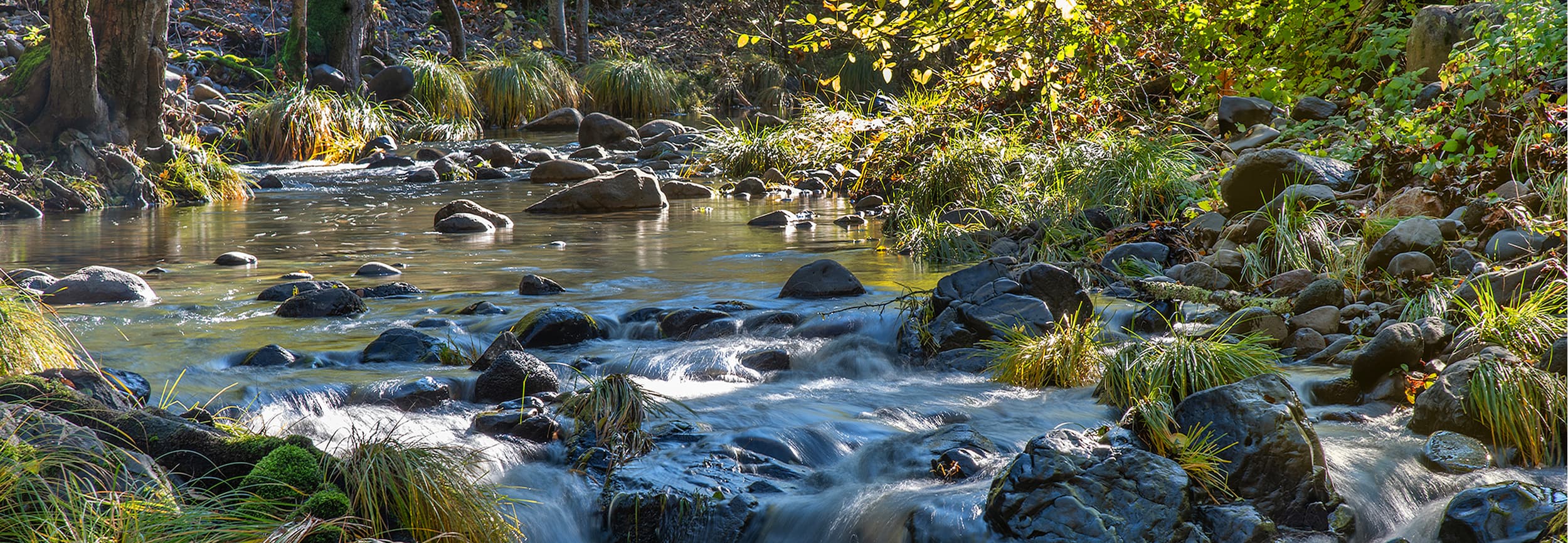 Water flows through a rocky creek