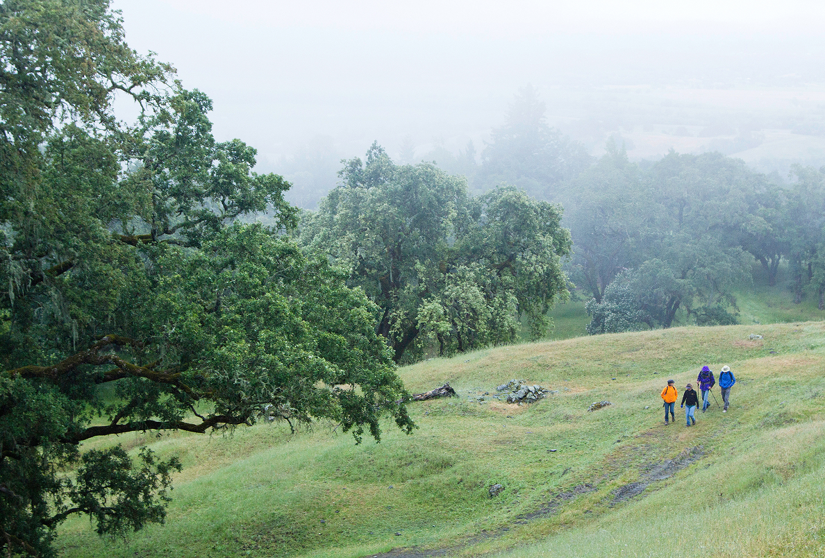 Overcast skies above hikers at White Rock Preserve.
