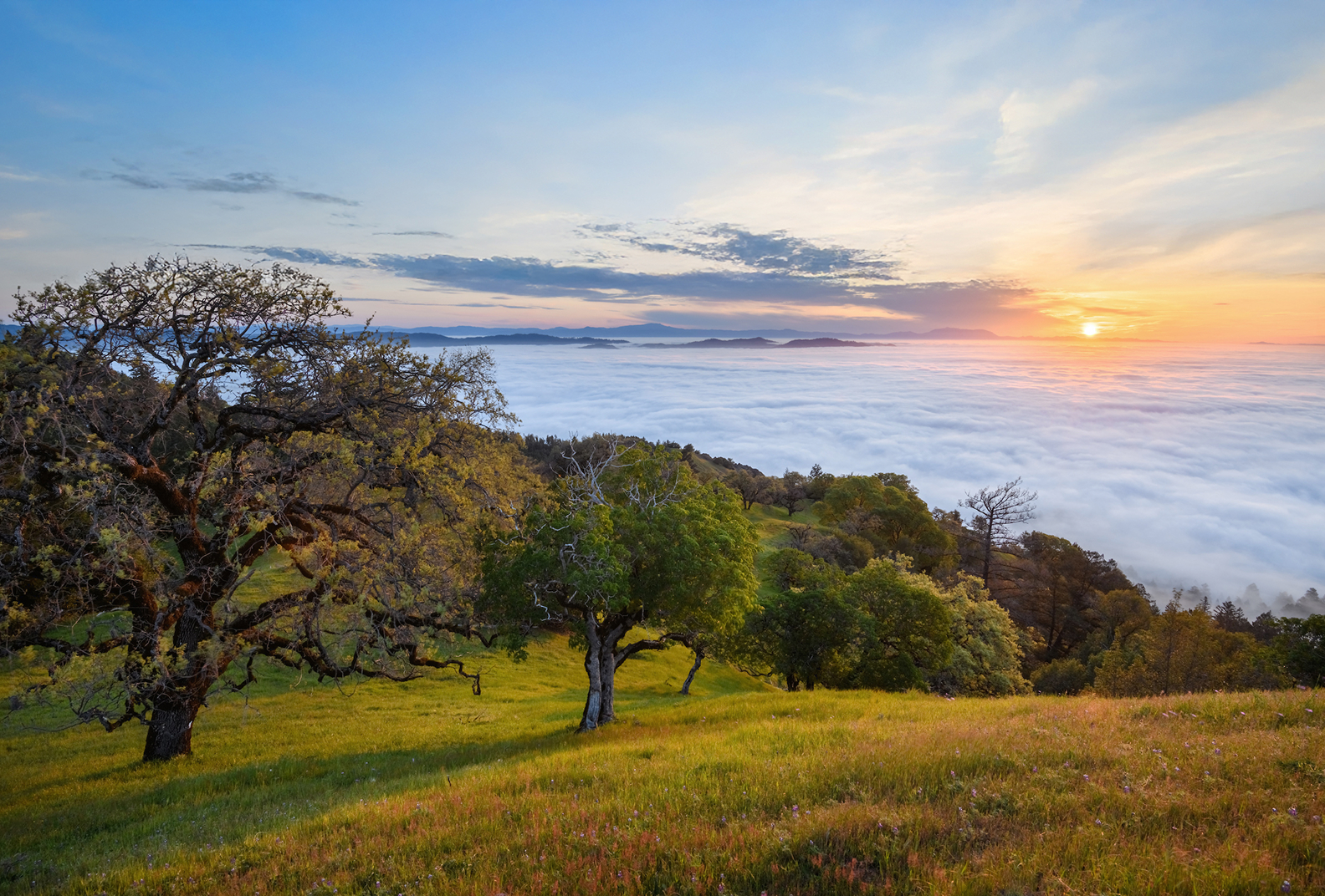 The sun setting amid fog at Pole Mountain.
