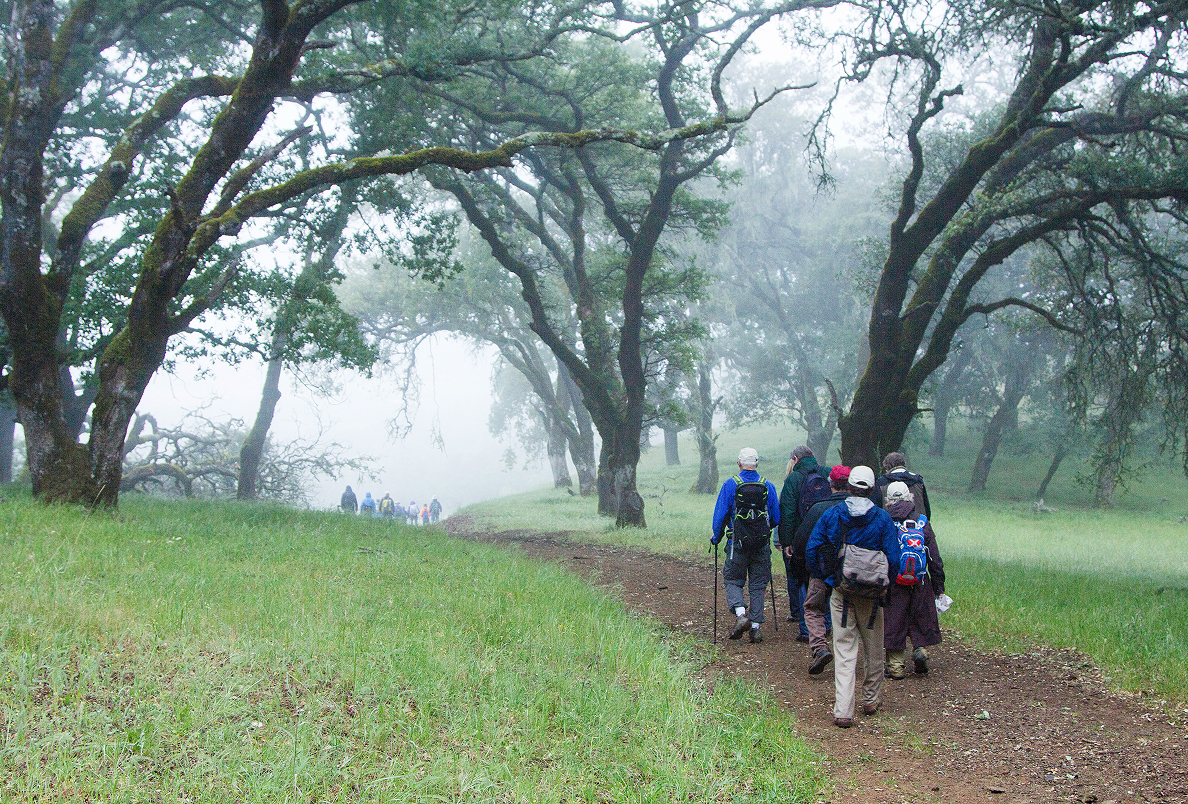 Hikers amid the fog at White Rock Preserve.