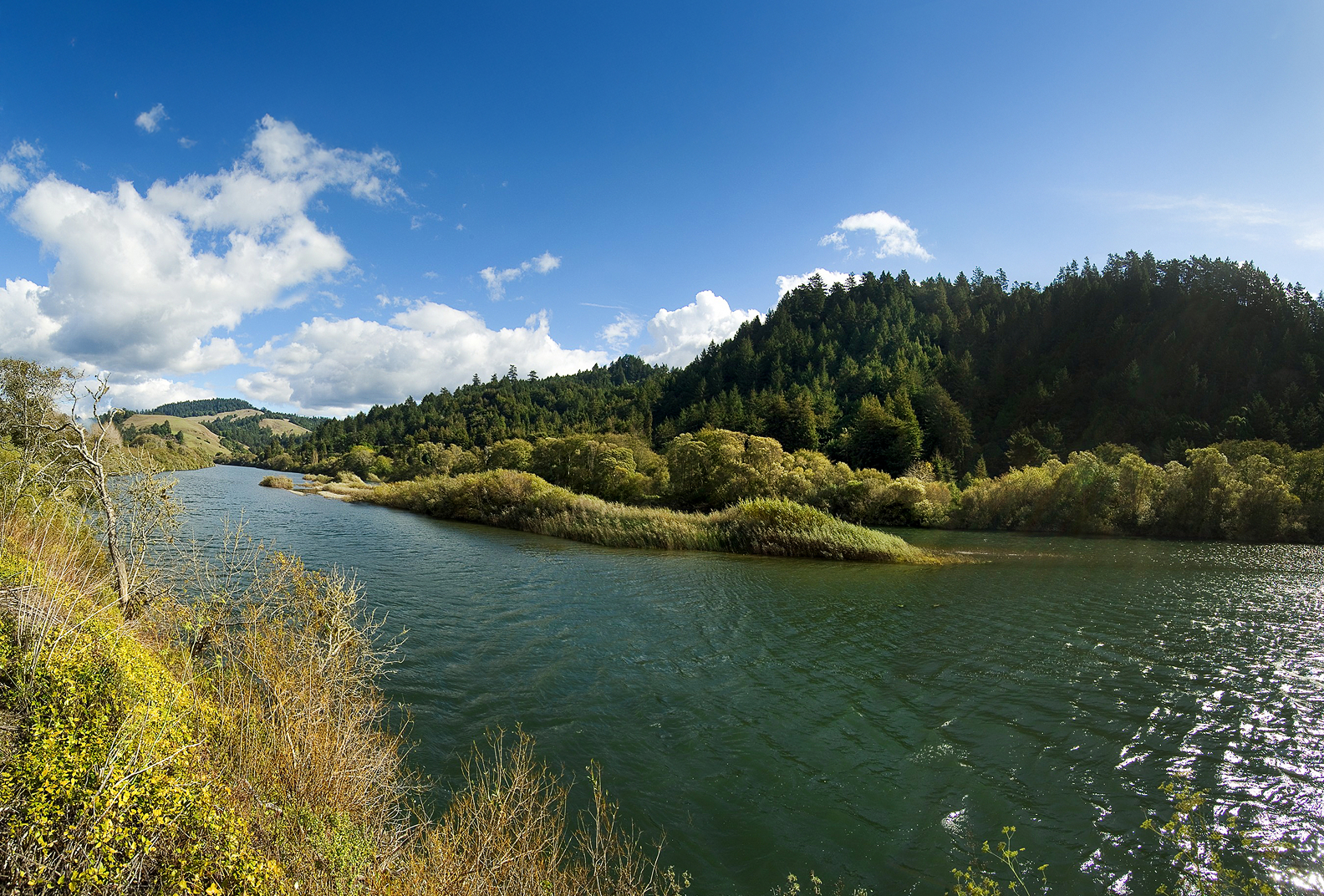 The sun shines down on a stunning blue river at Freezeout Redwoods.