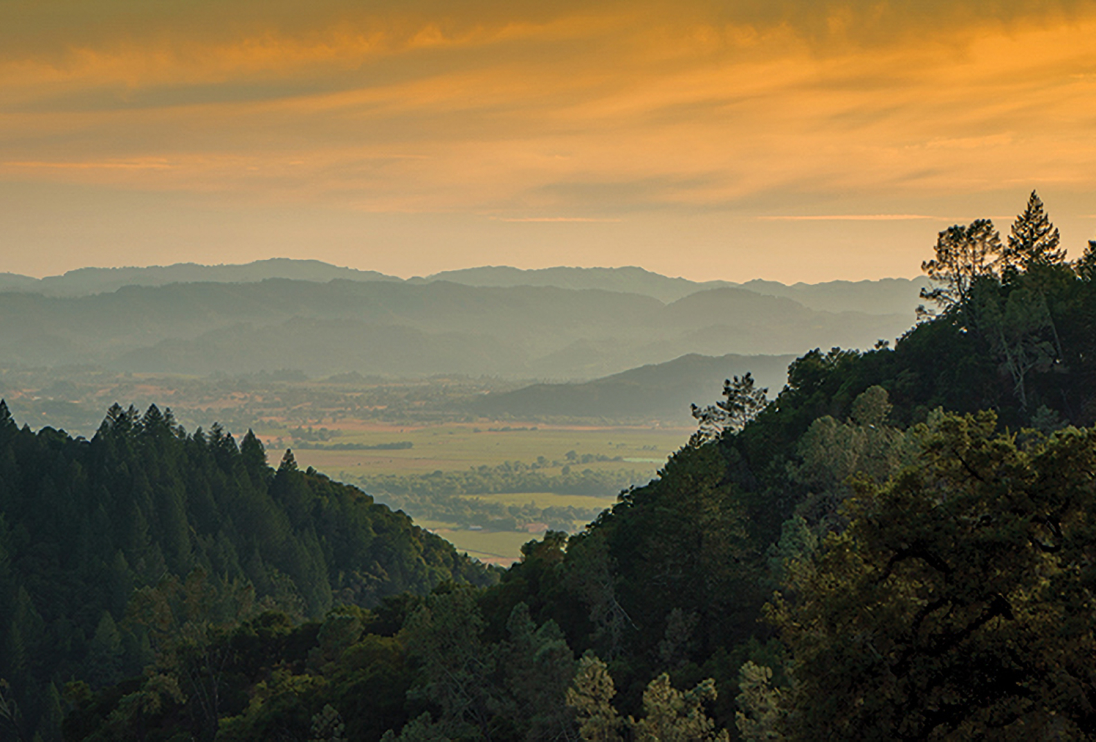 Golden skies at sunset at Bear Canyon Wildlands.