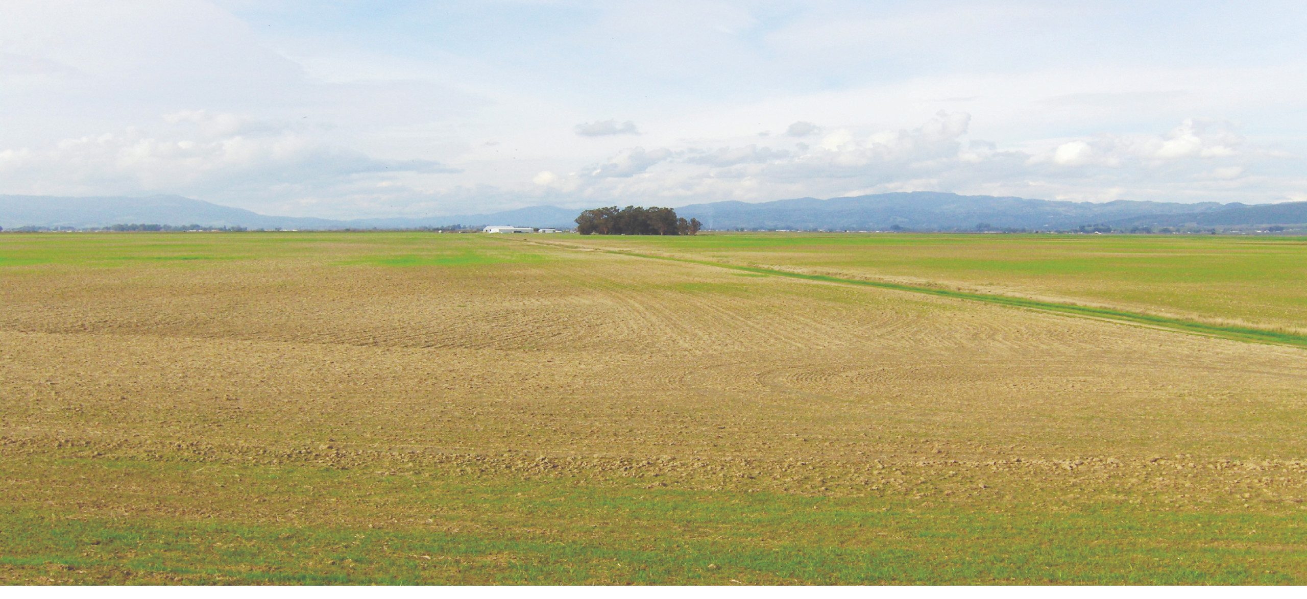 Open farmland under cloudy skies