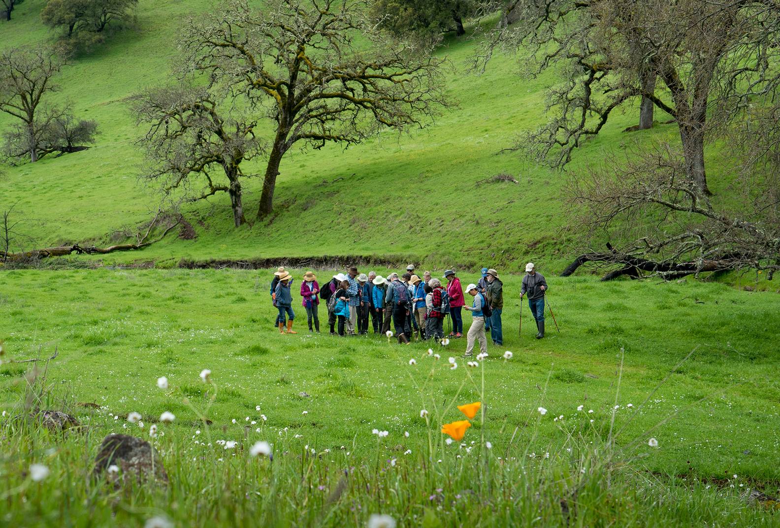 A group of hikers gather at Live Oaks Ranch