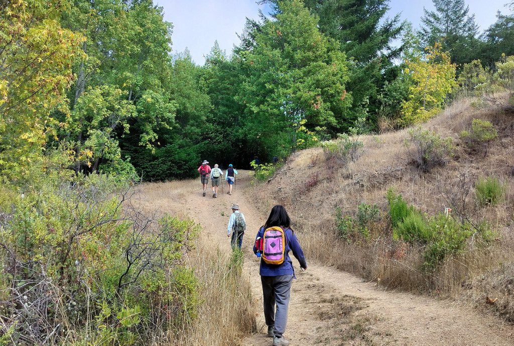 Group of hikers ascend a trail