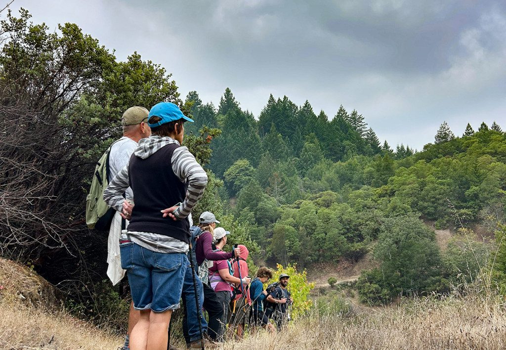 Group of hikers pause to take in landscape views