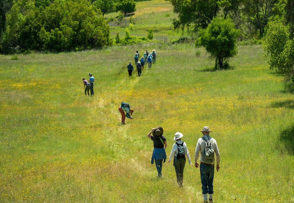 Hikers walk along a trail in a grassy field