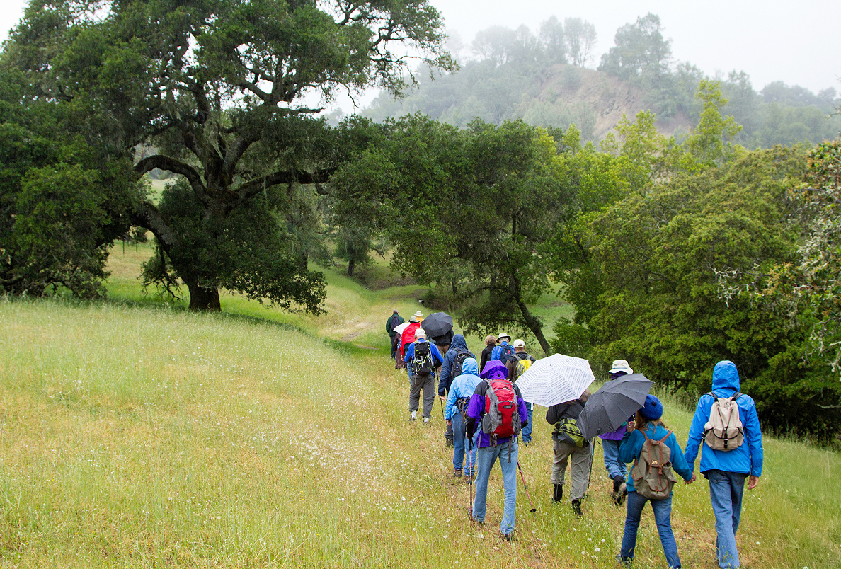 A group of hikers takes a rainy day hike at White Rock Preserve.