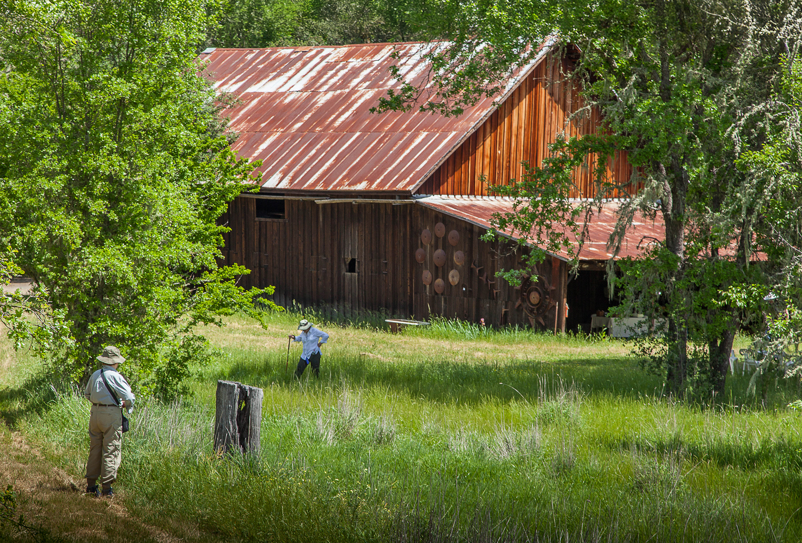Historic barn at Laufenburg Ranch, surrounded by foliage