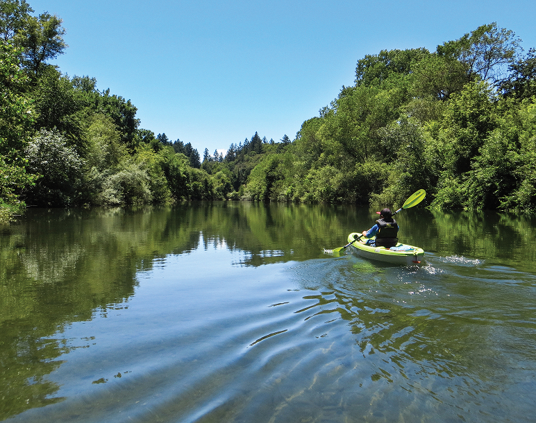 A kayaker paddles down the Russian River