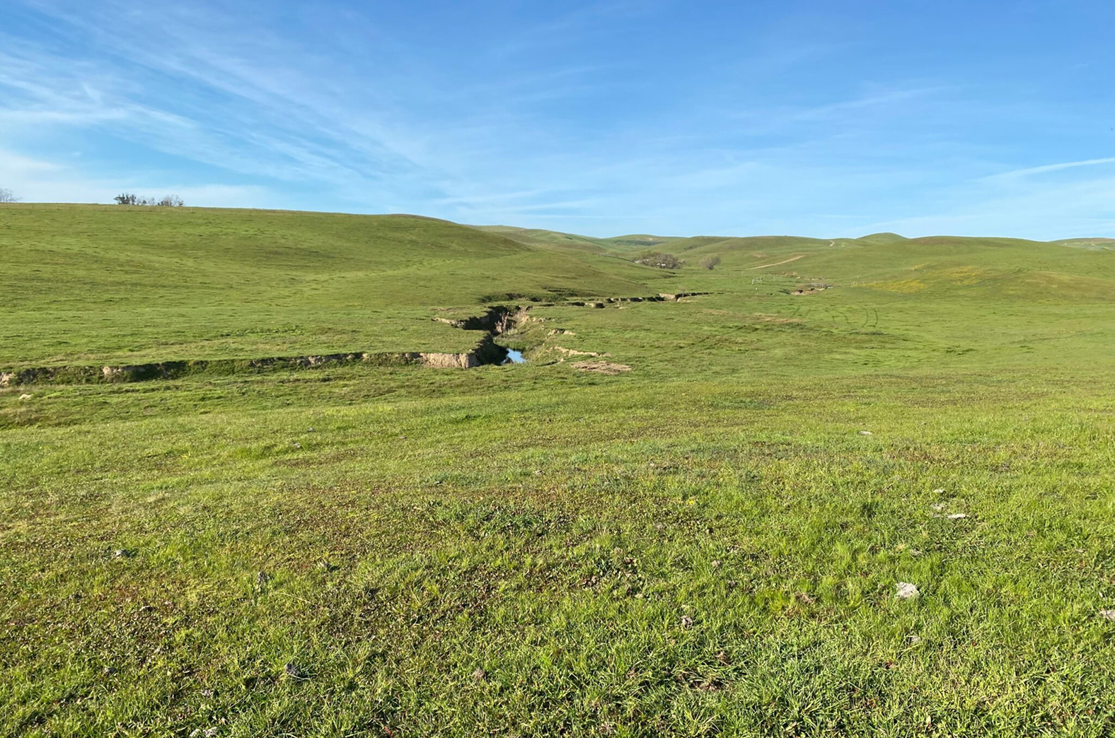 Lakeville Creek surrounded by a grassy field and blue sky