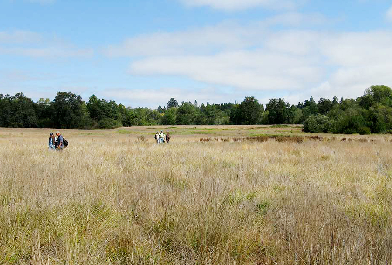 A few hikers across the grasslands at Lower Pitkin Marsh.