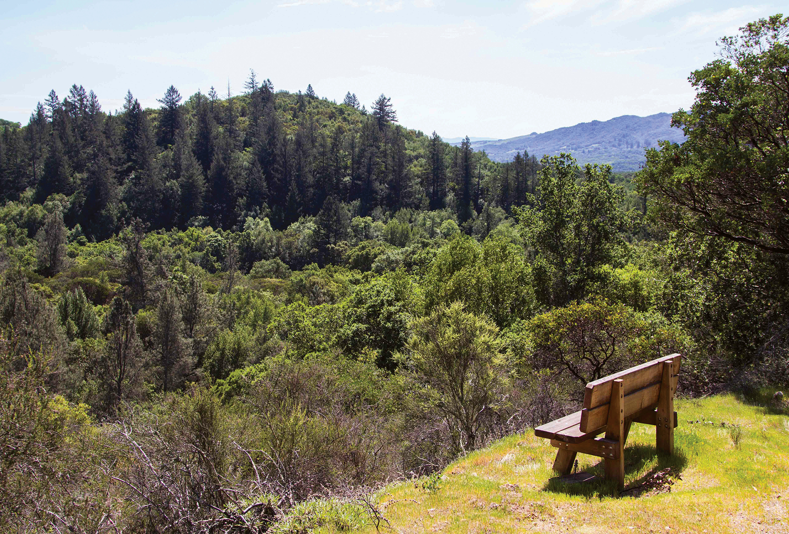 Empty park bench overlooking Glen Oaks Ranch landscape