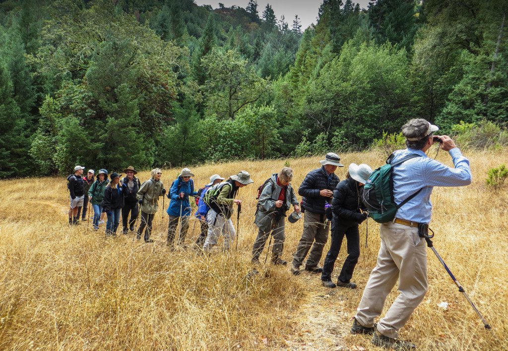 A group of birdwatchers line up looking for raptors at Pole Mountain