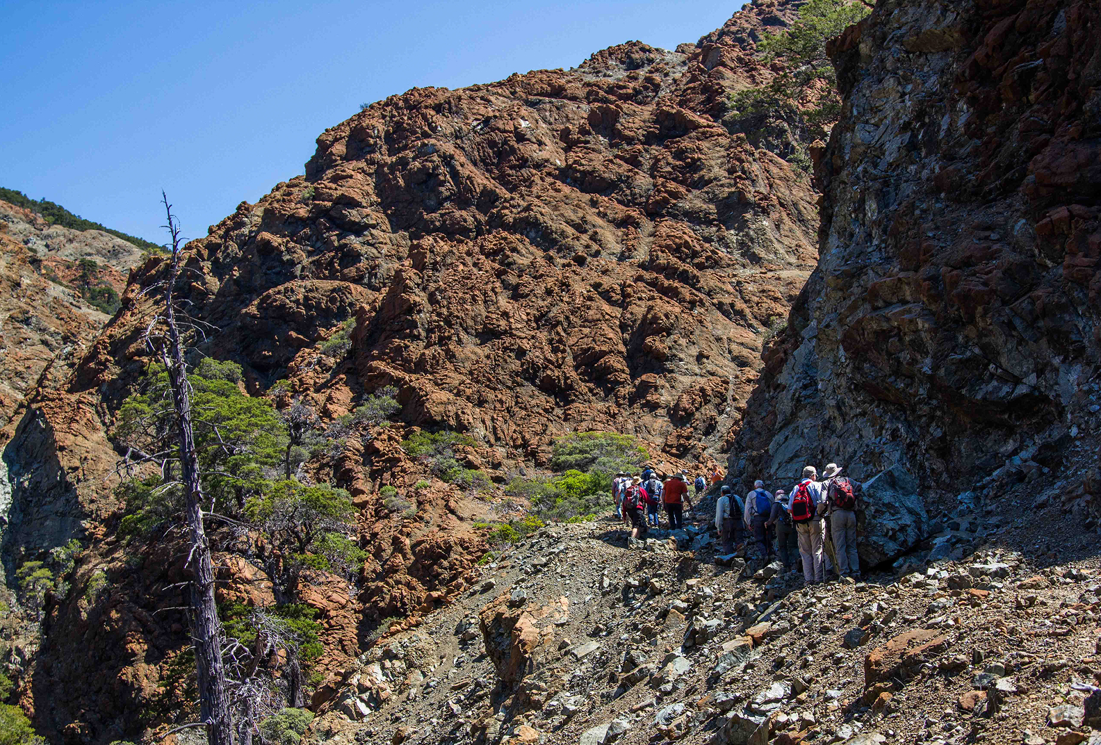 A group of hikers traversing alongside a hill at the Cedars Gateway.