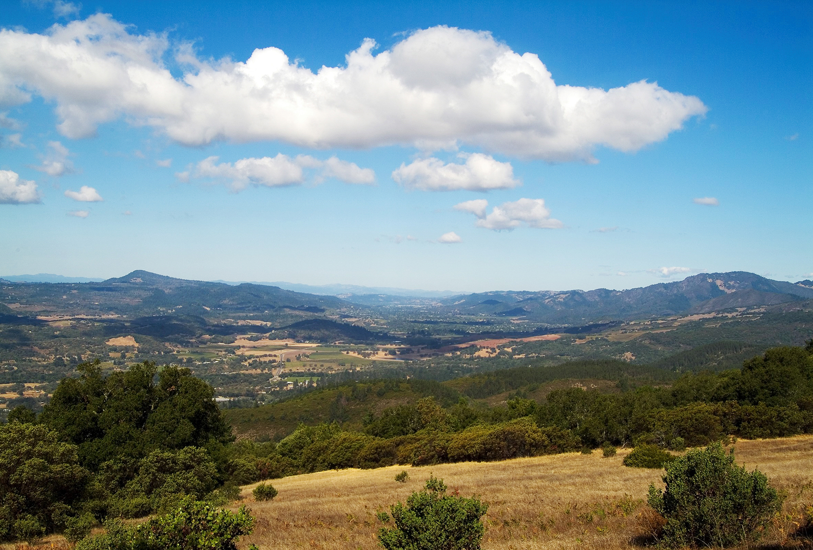 Scenic pasture in Sonoma County