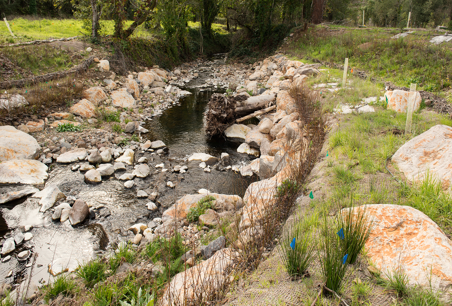 A rocky river flowing through Stuart Creek Run Preserve.